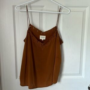 Sezane Silk Terra Cotta Lace Embroidered Top V neckline size 40 (size 8)